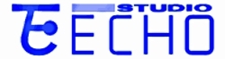 Логотип студии Echo