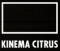 Студия Cinema Citrus